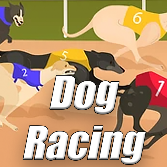 Dog race