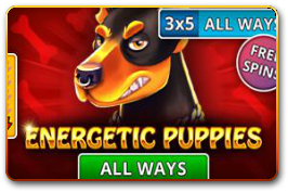 Energetic Puppies