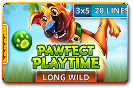 Pawfect Playtime