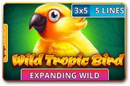 Wild Tropic Bird