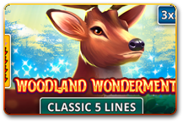 Woodland Wonderment