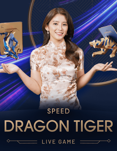 Speed DT 13