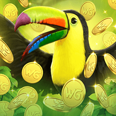 Fortune Toucan