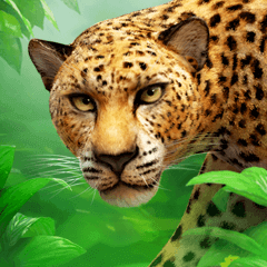 Leopard Of Gold