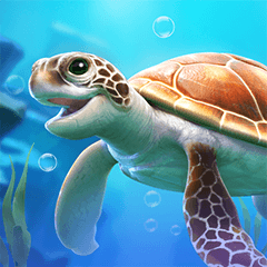Mr Turtle